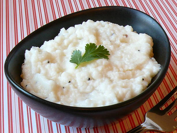 Curd Rice